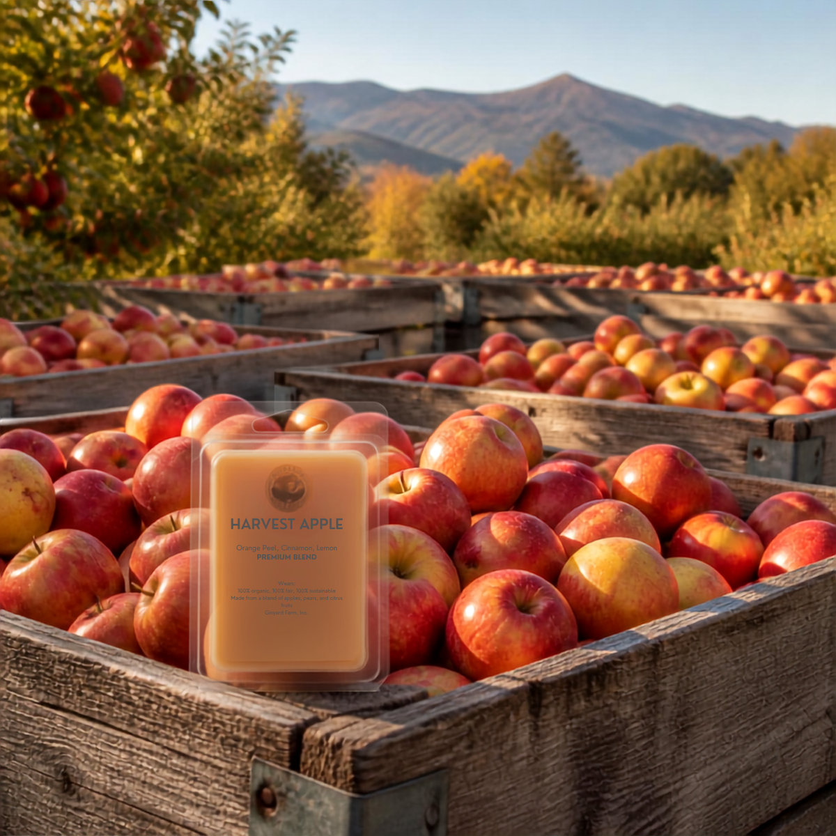 Country Candles Wax Melt – Harvest Apple